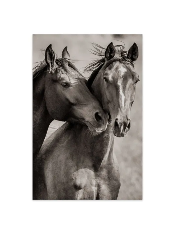 Tablou canvas cu cai Best friends – 50 x 70 cm — imaginea 2