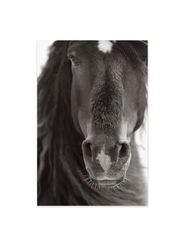 Tablou canvas cu cai Curiosity – 60 x 90 cm — imaginea 2