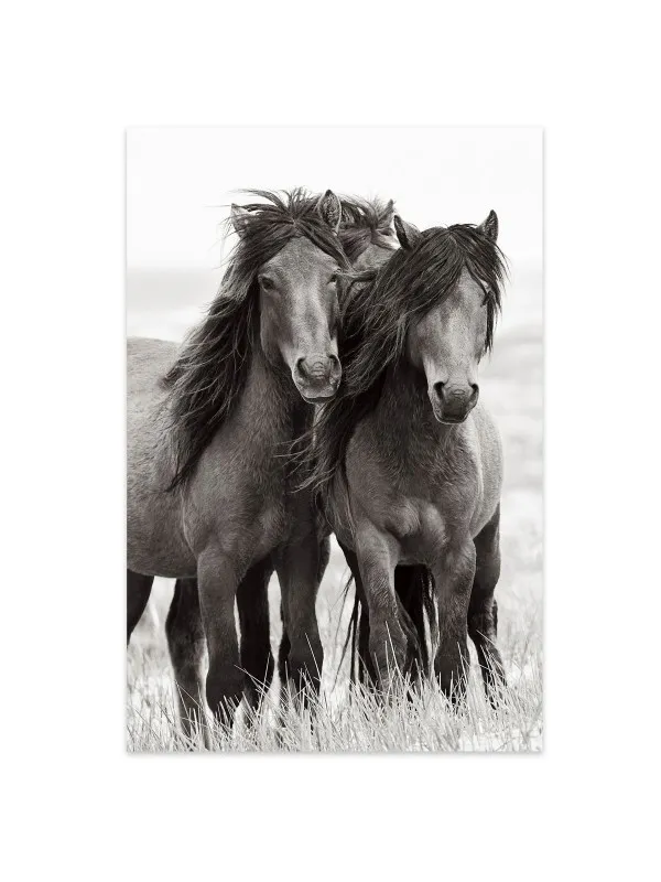 Tablou canvas cu cai Horse beauty – 70 x 100 cm — imaginea 2
