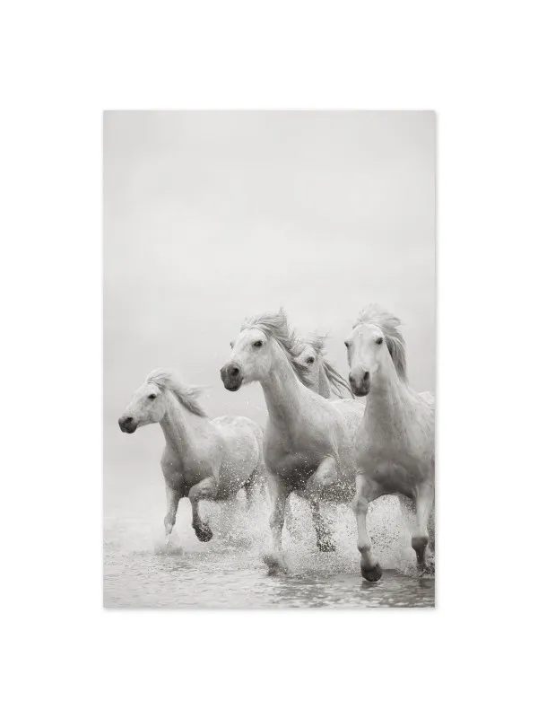 Tablou canvas cu cai Stallion looks – 70 x 50 cm — imaginea 2