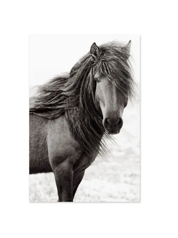 Tablou canvas cu cai Rugged beauty – 90 x 60 cm — imaginea 2
