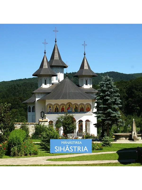 Icoana Maicii Domnului Tânguirea de la Mănăstirea Sihăstria — imaginea 4