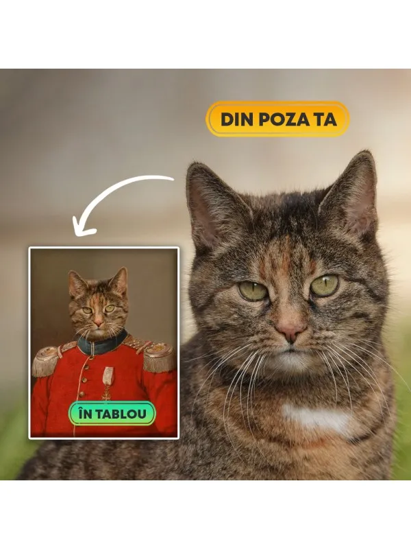 Tablou personalizat cu animalul tău – portret de colonel — imaginea 5