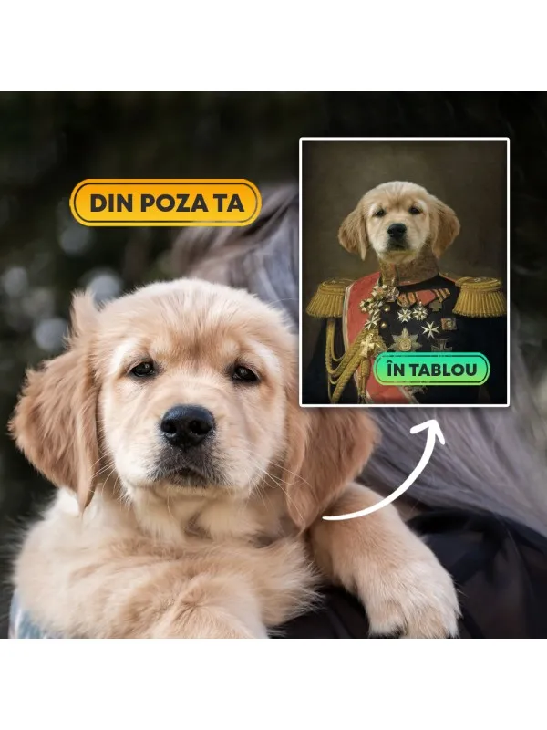 Tablou personalizat cu animalul tău – portret de general cu decorații — imaginea 5