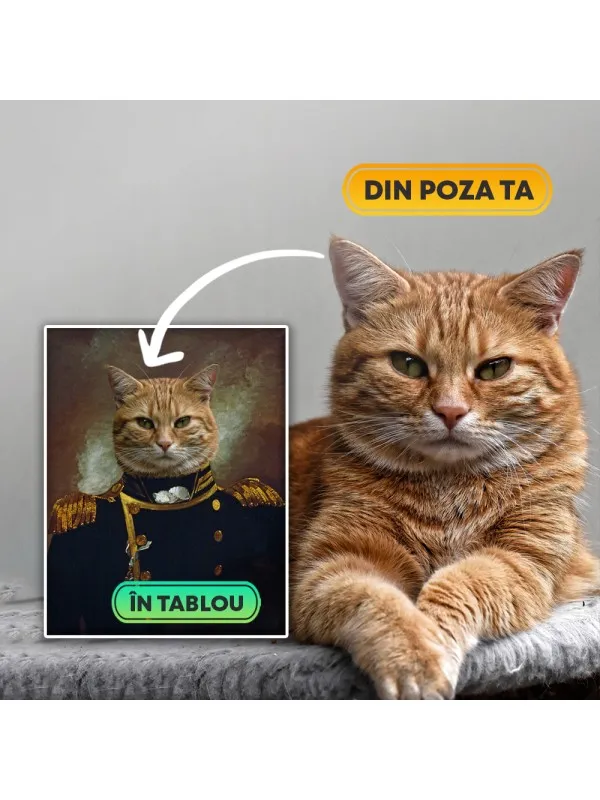 Tablou personalizat cu animalul tău – portret în uniformă de amiral — imaginea 5