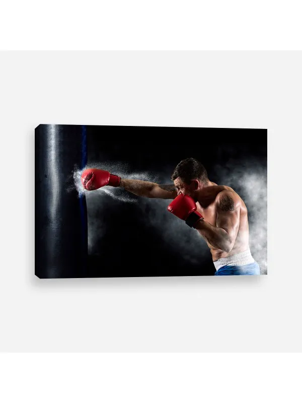 Tablou canvas Boxer – decor de perete