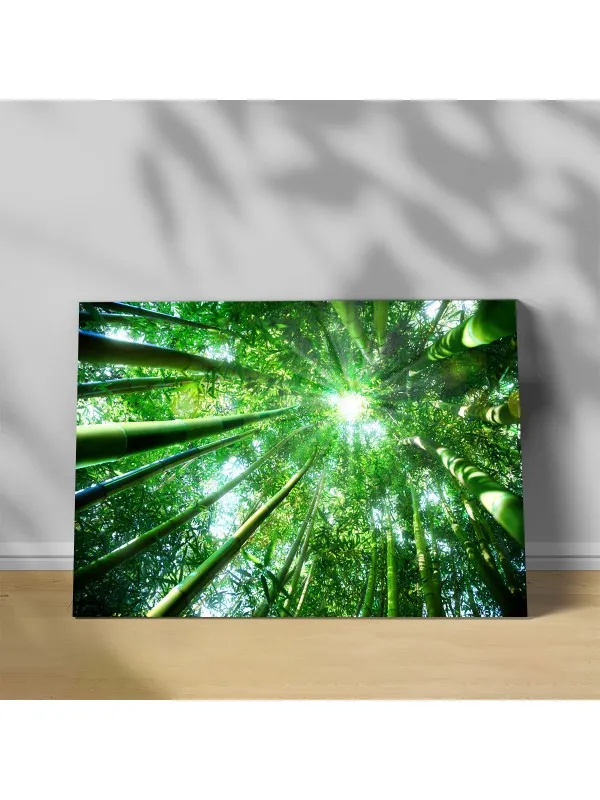 Tablou canvas Pădure de bambus zen – decor feng shui