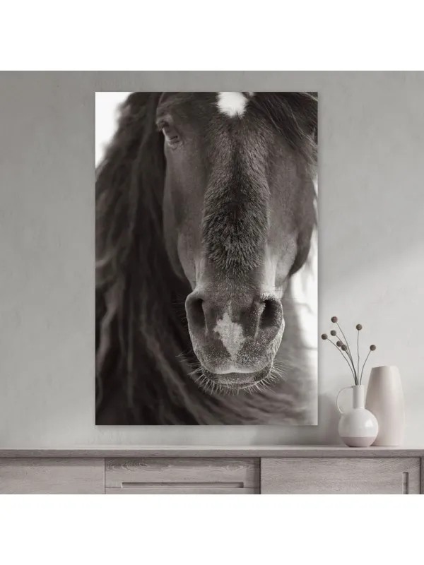 Tablou canvas cu cai Curiosity – 60 x 90 cm