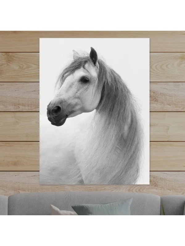 Tablou canvas cu cai White stallion turns – 90 x 60 cm