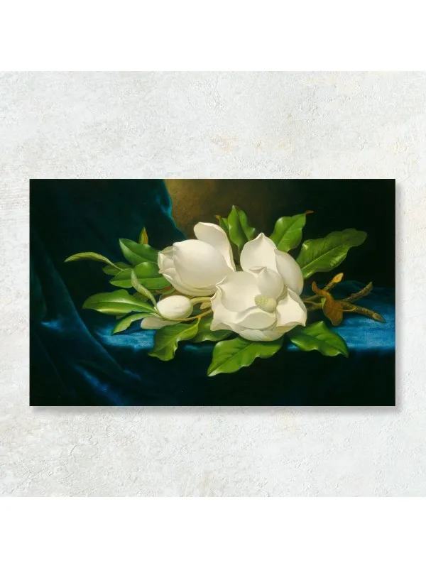Tablou canvas Magnolie uriașă pe catifea albastră, Martin Johnson Heade – reproducere