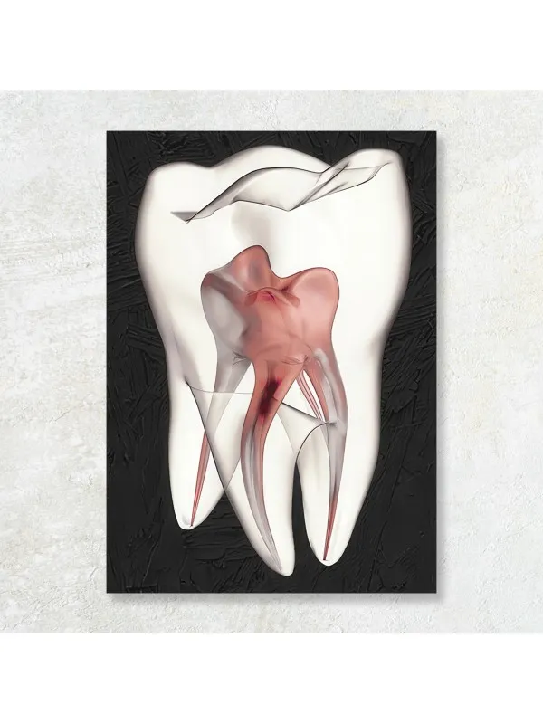 Tablou canvas White tooth – pentru cabinet stomatologic