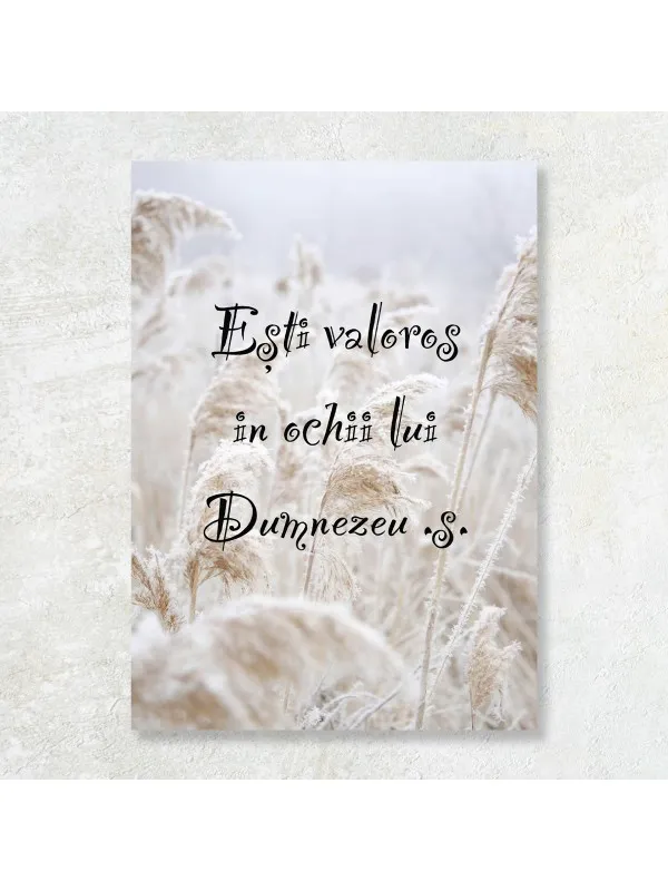 Tablou canvas Ești valoros în ochii lui Dumnezeu – text pe ierburi cu brumă