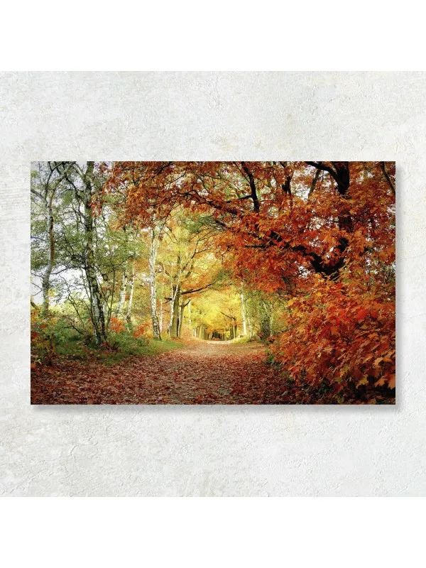 Tablou canvas Culorile timpului – peisaj decorativ